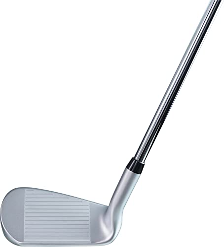 キャスコ(Kasco) ドルフィン ピッチ&ランウェッジ DPW-119 34インチ スチールシャフト 中間 画像