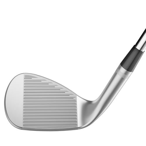 Titleist Wedge Vokey SM10ツアークロームBV105 5812D 中間 画像