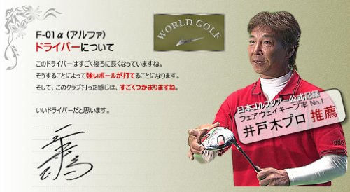 WORLD EAGLE(ワールドイーグル) F-01α メンズ ゴルフ クラブ フルセット レッド バッグver.【右用】 フレックスR WE-J-F-01-MRH-RD 中間 画像