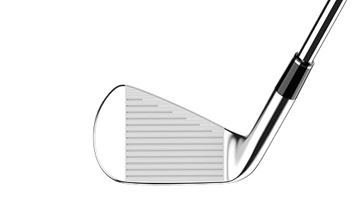 ダンロップ(DUNLOP) スリクソン ZXi7 アイアンセット 6本【カタログ純正シャフト装着モデル】ダイナミックゴールド スチールシャフト メンズ 右利き 番手:5-9、PW フレックス:S ゴルフクラブセット 2024年モデル 中間 画像