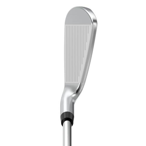 DUNLOP(ダンロップ) XXIO ゼクシオ エックス 2023年モデル アイアンセット 5本 DG95 シャフト スチール メンズ 右 番手#: 6-9、PW フレックス:Sの詳細・まとめ 画像