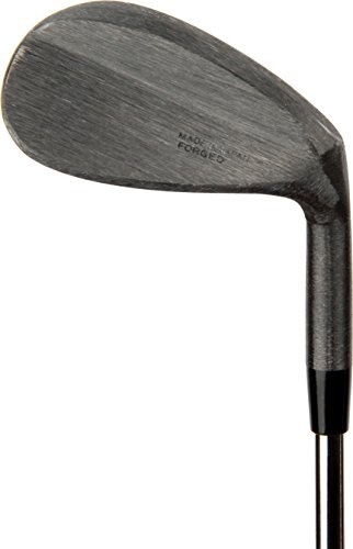 広田ゴルフ 軟鉄鍛造 新溝 ハンドメイド フォージド ウェッジ 荒研磨仕上げ 新溝ルール適合モデル (56) 1