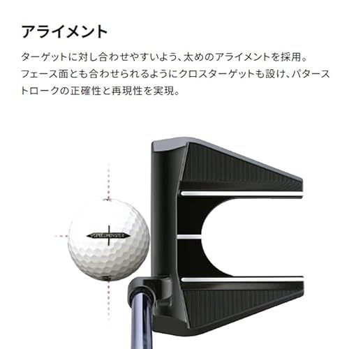 HONMA D1 SPEEDMONSTER スピードモンスター(スピモン) 2023年モデル BT2302 ディスタンス ゴルフボール 本間ゴルフ (２ダースセット, ホワイト)の特徴・詳細 画像