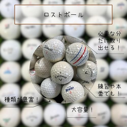 ロストボール ゴルフ ブランド混合 Bランク (10球)の詳細・まとめ 画像