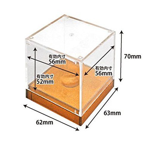 和泉化成 ディスプレイケース ゴルフボール用 ブラック 3179BKの特徴・詳細 画像